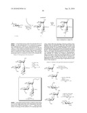 GLYCOCONJUGATES AND USE THEREOF AS VACCINE AGAINST SHIGELLA FLEXNERI SEROTYPE 3A AND X diagram and image