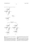 GLYCOCONJUGATES AND USE THEREOF AS VACCINE AGAINST SHIGELLA FLEXNERI SEROTYPE 3A AND X diagram and image