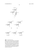 GLYCOCONJUGATES AND USE THEREOF AS VACCINE AGAINST SHIGELLA FLEXNERI SEROTYPE 3A AND X diagram and image