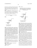 GLYCOCONJUGATES AND USE THEREOF AS VACCINE AGAINST SHIGELLA FLEXNERI SEROTYPE 3A AND X diagram and image