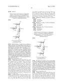 GLYCOCONJUGATES AND USE THEREOF AS VACCINE AGAINST SHIGELLA FLEXNERI SEROTYPE 3A AND X diagram and image