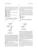 GLYCOCONJUGATES AND USE THEREOF AS VACCINE AGAINST SHIGELLA FLEXNERI SEROTYPE 3A AND X diagram and image