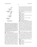 GLYCOCONJUGATES AND USE THEREOF AS VACCINE AGAINST SHIGELLA FLEXNERI SEROTYPE 3A AND X diagram and image