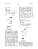 GLYCOCONJUGATES AND USE THEREOF AS VACCINE AGAINST SHIGELLA FLEXNERI SEROTYPE 3A AND X diagram and image