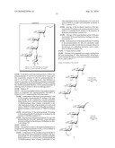 GLYCOCONJUGATES AND USE THEREOF AS VACCINE AGAINST SHIGELLA FLEXNERI SEROTYPE 3A AND X diagram and image