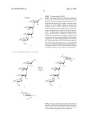 GLYCOCONJUGATES AND USE THEREOF AS VACCINE AGAINST SHIGELLA FLEXNERI SEROTYPE 3A AND X diagram and image