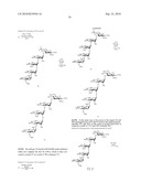 GLYCOCONJUGATES AND USE THEREOF AS VACCINE AGAINST SHIGELLA FLEXNERI SEROTYPE 3A AND X diagram and image