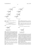 GLYCOCONJUGATES AND USE THEREOF AS VACCINE AGAINST SHIGELLA FLEXNERI SEROTYPE 3A AND X diagram and image