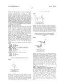 GLYCOCONJUGATES AND USE THEREOF AS VACCINE AGAINST SHIGELLA FLEXNERI SEROTYPE 3A AND X diagram and image