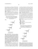 GLYCOCONJUGATES AND USE THEREOF AS VACCINE AGAINST SHIGELLA FLEXNERI SEROTYPE 3A AND X diagram and image