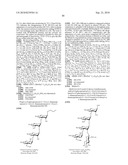 GLYCOCONJUGATES AND USE THEREOF AS VACCINE AGAINST SHIGELLA FLEXNERI SEROTYPE 3A AND X diagram and image