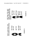 IMMUNOGLOBULIN CONSTANT REGION FC RECEPTOR BINDING AGENTS diagram and image