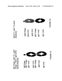 IMMUNOGLOBULIN CONSTANT REGION FC RECEPTOR BINDING AGENTS diagram and image