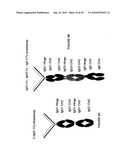 IMMUNOGLOBULIN CONSTANT REGION FC RECEPTOR BINDING AGENTS diagram and image