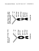 IMMUNOGLOBULIN CONSTANT REGION FC RECEPTOR BINDING AGENTS diagram and image