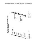 IMMUNOGLOBULIN CONSTANT REGION FC RECEPTOR BINDING AGENTS diagram and image