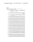 IMMUNOGLOBULIN CONSTANT REGION FC RECEPTOR BINDING AGENTS diagram and image