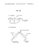 IMMUNOGLOBULIN CONSTANT REGION FC RECEPTOR BINDING AGENTS diagram and image