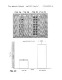 COMPOSITIONS AND METHODS FOR PROMOTING BONE FORMATION diagram and image