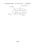 CONTROLLED RELEASE PHARMACEUTICAL COMPOSITIONS FOR PROLONGED EFFECT diagram and image