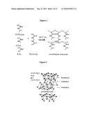 LAYER SILICATE NANOCOMPOSITES OF POLYMER HYDROGELS AND THEIR USE IN TISSUE EXPANDERS diagram and image