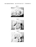 LAYER SILICATE NANOCOMPOSITES OF POLYMER HYDROGELS AND THEIR USE IN TISSUE EXPANDERS diagram and image