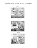 LAYER SILICATE NANOCOMPOSITES OF POLYMER HYDROGELS AND THEIR USE IN TISSUE EXPANDERS diagram and image