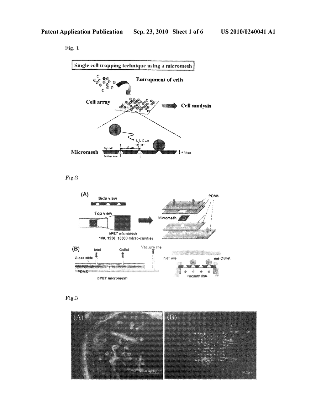 MICROFLUIDIC DEVICE FOR TRAPPING SINGLE CELL - diagram, schematic, and image 02