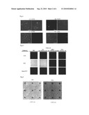 MICROFLUIDIC DEVICE FOR TRAPPING SINGLE CELL diagram and image