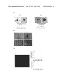 MICROFLUIDIC DEVICE FOR TRAPPING SINGLE CELL diagram and image