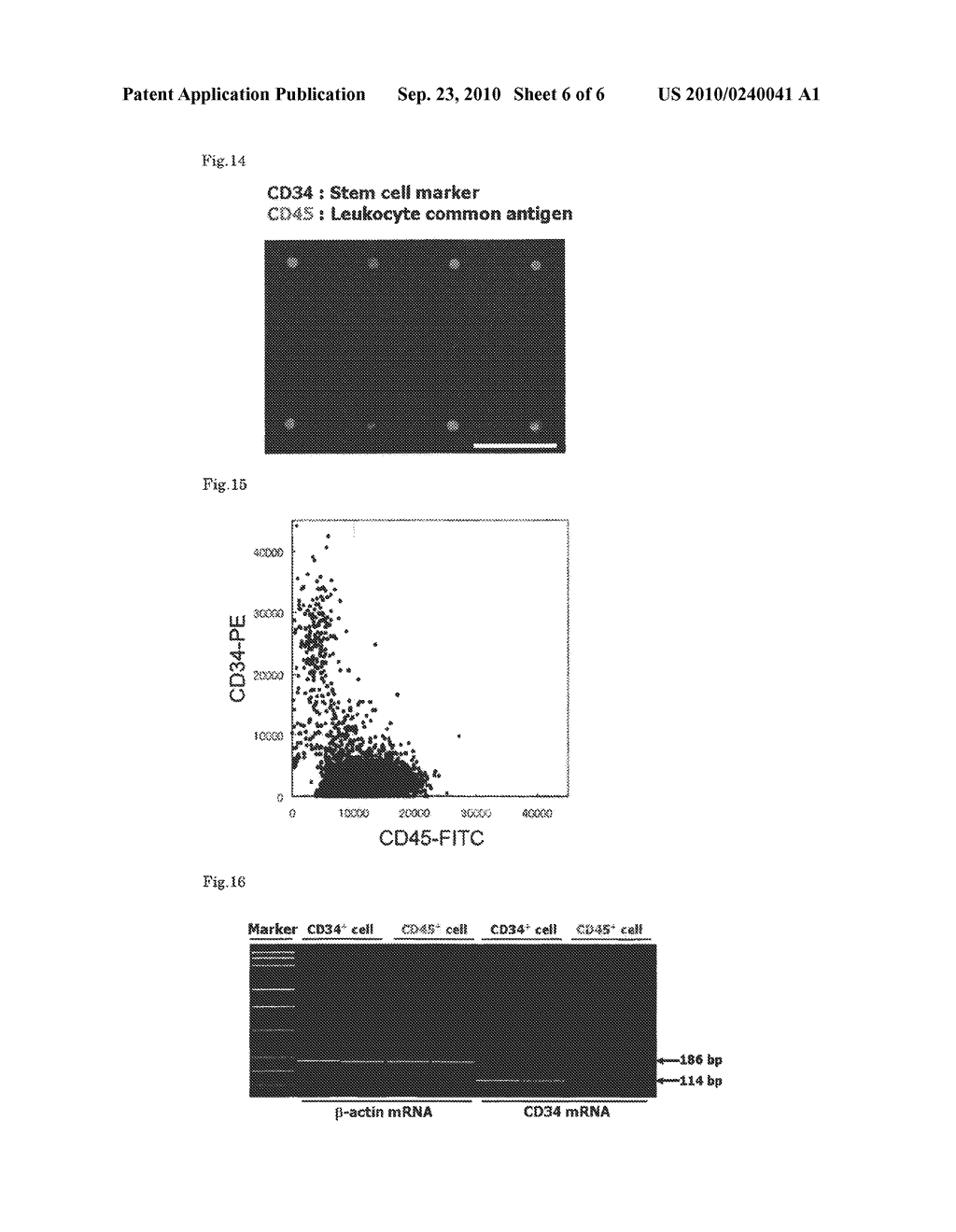 MICROFLUIDIC DEVICE FOR TRAPPING SINGLE CELL - diagram, schematic, and image 07