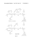 METHODS AND COMPOUNDS FOR DETECTION OF MOLECULAR TARGETS diagram and image