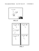 METHOD FOR PREPARING AND ANALYZING CELLS HAVING CHROMOSOMAL ABNORMALITIES diagram and image