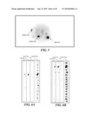 METHOD FOR PREPARING AND ANALYZING CELLS HAVING CHROMOSOMAL ABNORMALITIES diagram and image