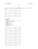 USE OF THE PROTIEN MABA (FABG1) OF MYCOBACTERIUM TUBERCULOSIS FOR DESIGNING AND SCREENING ANTIBIOTICS diagram and image