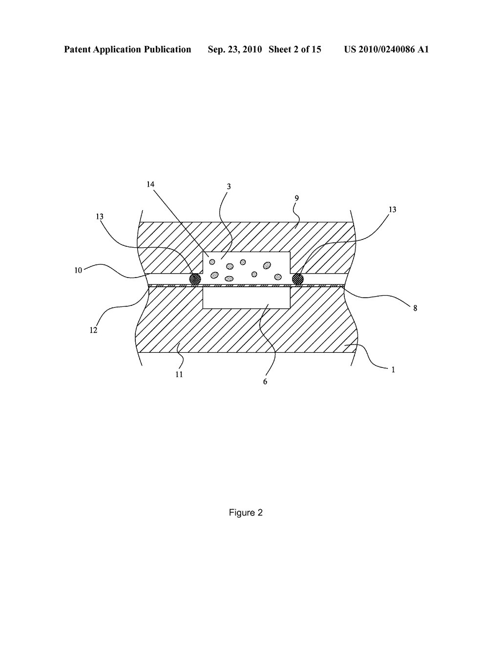 BIOCHIP ASSEMBLY AND ASSAY METHOD THEREOF - diagram, schematic, and image 03