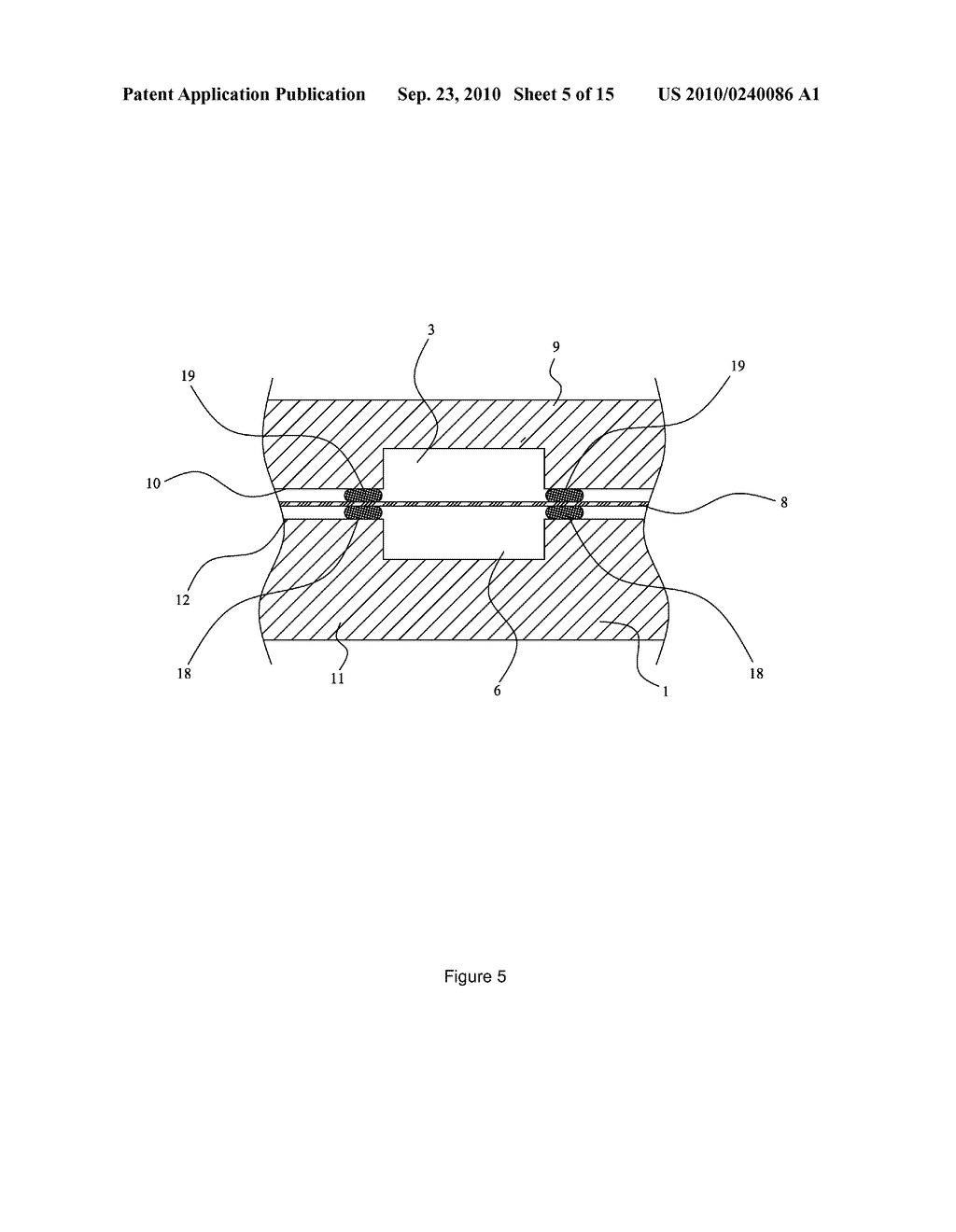 BIOCHIP ASSEMBLY AND ASSAY METHOD THEREOF - diagram, schematic, and image 06