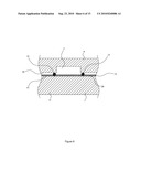 BIOCHIP ASSEMBLY AND ASSAY METHOD THEREOF diagram and image