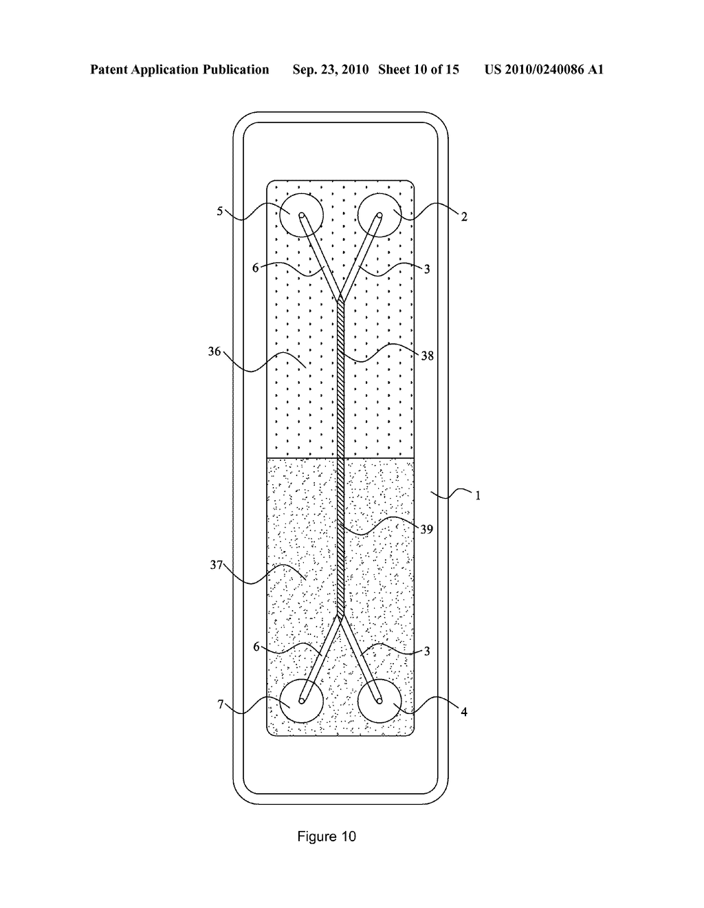 BIOCHIP ASSEMBLY AND ASSAY METHOD THEREOF - diagram, schematic, and image 11