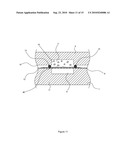 BIOCHIP ASSEMBLY AND ASSAY METHOD THEREOF diagram and image