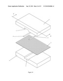 BIOCHIP ASSEMBLY AND ASSAY METHOD THEREOF diagram and image