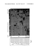 Peptide Markers for Diagnosis of Angiogenesis diagram and image