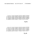 Peptide Markers for Diagnosis of Angiogenesis diagram and image