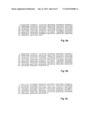 Peptide Markers for Diagnosis of Angiogenesis diagram and image