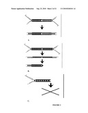 Parallel Proximity Ligation Event Analysis diagram and image