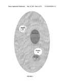 Parallel Proximity Ligation Event Analysis diagram and image