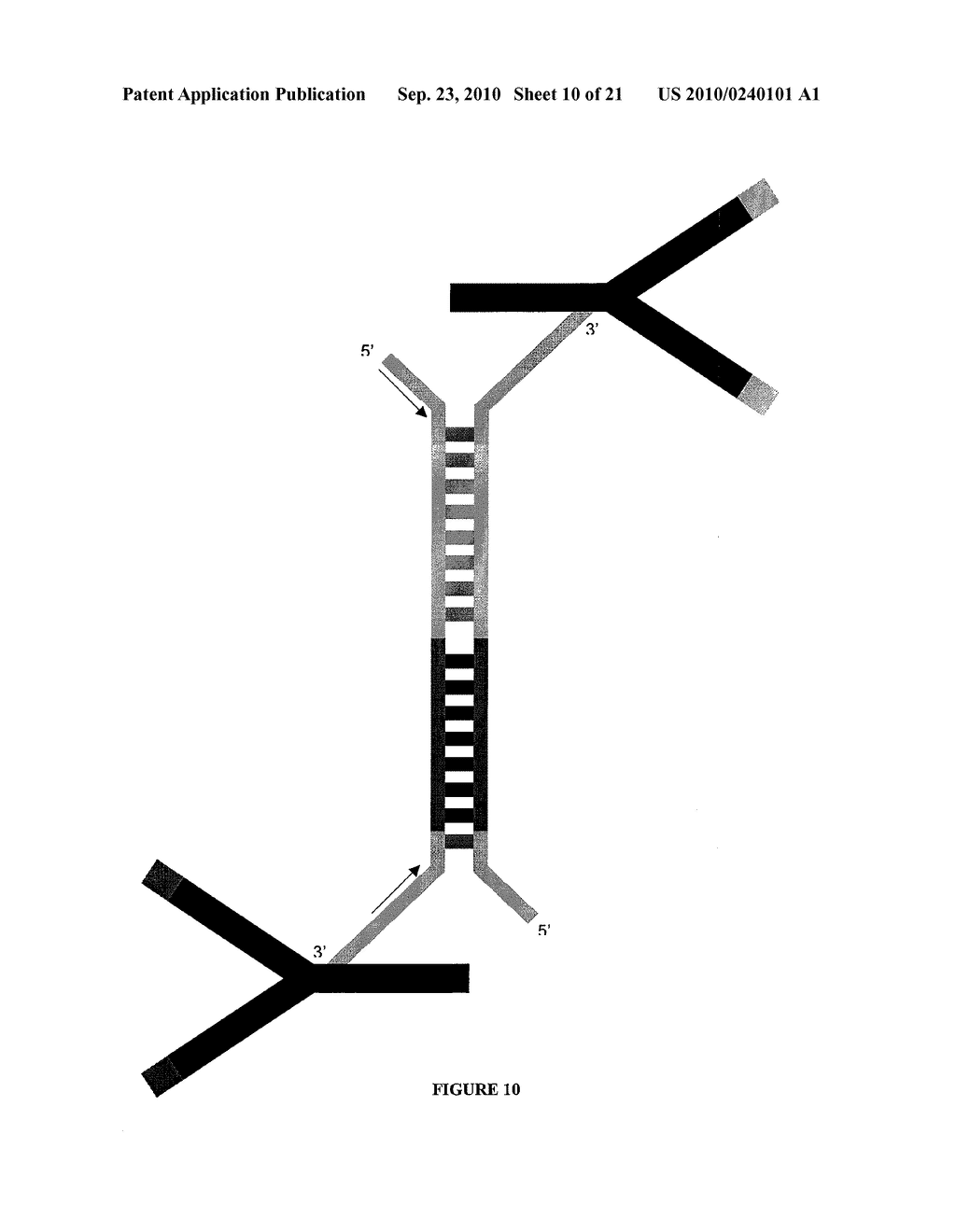 Parallel Proximity Ligation Event Analysis - diagram, schematic, and image 11