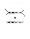 Parallel Proximity Ligation Event Analysis diagram and image