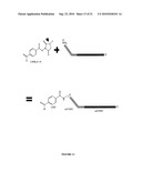 Parallel Proximity Ligation Event Analysis diagram and image