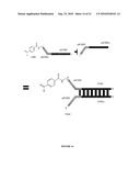 Parallel Proximity Ligation Event Analysis diagram and image